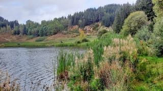 Lac de Coucouron. - PLATEAU ARDECHOIS