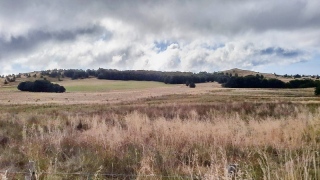 Hautes terres. - PLATEAU ARDECHOIS