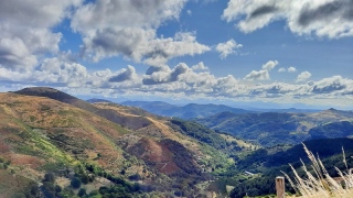 Hautes terres. - PLATEAU ARDECHOIS
