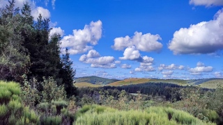 Hautes terres. - PLATEAU ARDECHOIS
