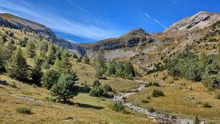 photoverconature - PHOTOS DE SYLVIA
