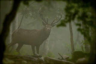 photoverconature - CERFS