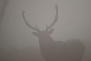 photoverconature - CERFS
