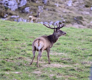 photoverconature - CERFS